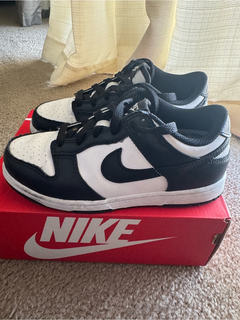 Nike Kids Black and White Dunk Low